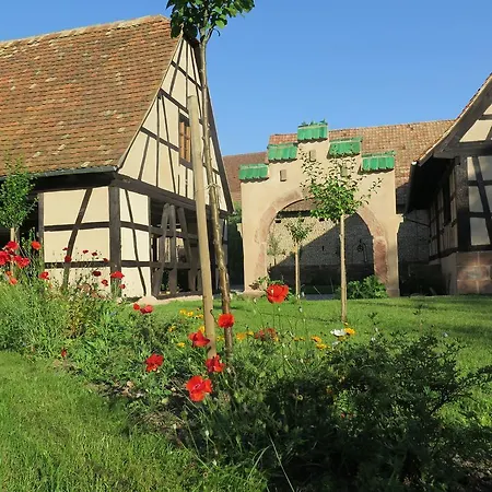 Gite D'Audrey Et Jean Uttenheim Exterior photo