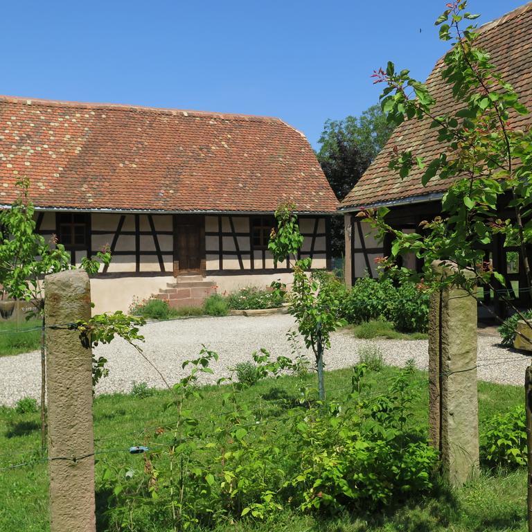D'audrey Et Jean Uttenheim